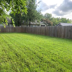 landscaping services by Up and running reviewed on August 19, 2025