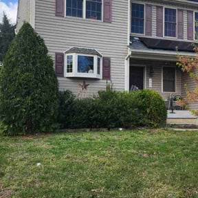 Bush Trimming by J&amp;M Mowing reviewed on July 13, 2023