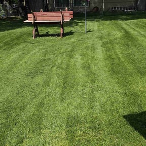 yard service by Happy Days Lawn Service reviewed on August 21, 2025