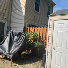 Bush Trimming by Gardens Of eDen lawn service reviewed on August 21, 2025
