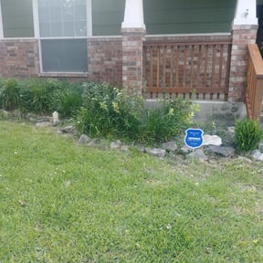 Bush Trimming by Student Loan Payment Lawn Care reviewed on August 18, 2025