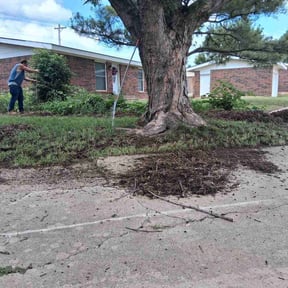 Bush Trimming by Brooks Building Services LLC reviewed on May 22, 2026