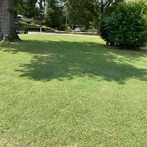 landscaping services by Top Dawg Lawn reviewed on August 15, 2025