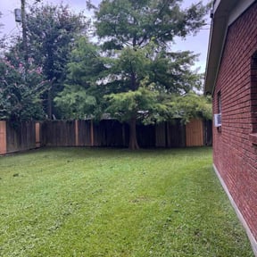 landscaping services by Big Star yard reviewed on August 21, 2025