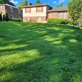 yard service by Elite Landscaping reviewed on August 16, 2025