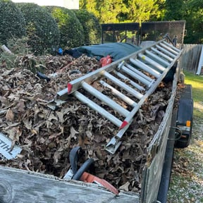 Leaf Removal by El Paso Best landscaping reviewed on August 18, 2025