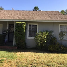 Bush Trimming by National preservation and REO services reviewed on August 20, 2025