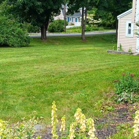 lawn service by My Family Lawn Care reviewed on April 19, 2024