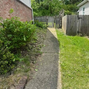 Bush Trimming by Tri-County Lawn Care & removals reviewed on August 21, 2025