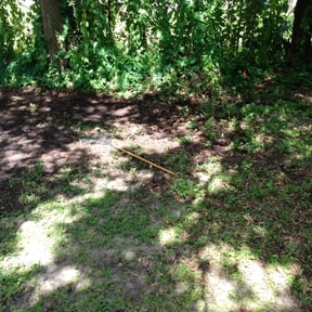 Leaf Removal by My Family Lawn Care reviewed on September 19, 2025