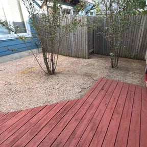 Leaf Removal by Solo Lawns reviewed on September 25, 2025