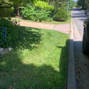 Bush Trimming by Pitchfork Landscaping reviewed on November 20, 2025