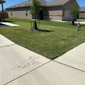 grass maintenance by SLD & lawn care reviewed on August 18, 2025