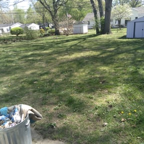 Leaf Removal by K C lawn care reviewed on August 19, 2025