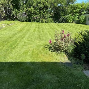 residential landscaping by S&G lawncare service llc reviewed on August 19, 2025