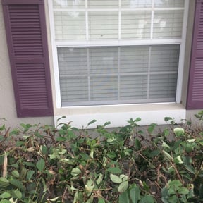 Bush Trimming by MTD Lawncare & Maintenance reviewed on August 18, 2025