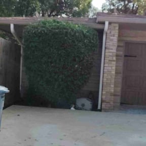 Bush Trimming by Cleancut Landscaping reviewed on August 21, 2025