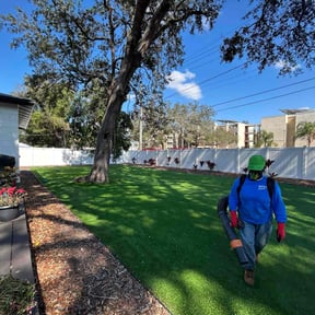 yard service by Hoyt Properties, LLC reviewed on August 16, 2025