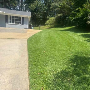 yard work by Regiment Property And Lawncare Inc reviewed on August 20, 2025