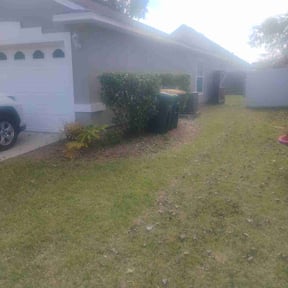 Bush Trimming by Rodriguez Gardening reviewed on November 22, 2025