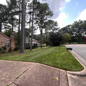 yard maintenance by CCs lawn service LLC reviewed on August 15, 2025