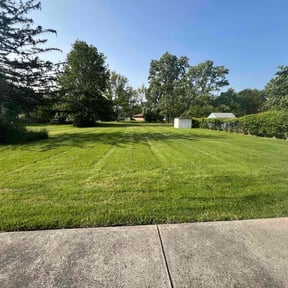 grass cutting by Lawn and Beyond reviewed on August 21, 2025