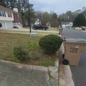 Bush Trimming by Cut N Wash LLC reviewed on March 22, 2026