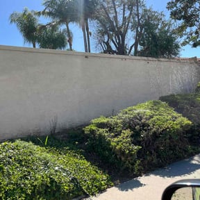 Bush Trimming by Chacon Lawn Care reviewed on August 20, 2025