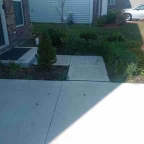 Bush Trimming by LPZ Landscaping reviewed on August 17, 2025