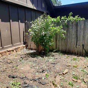 Bush Trimming by 1165 Pine Lake Drive, Grayson, GA 30017 reviewed on July 9, 2026