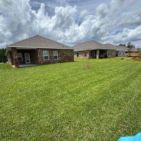 landscaping services by shakshak cutz reviewed on August 20, 2025