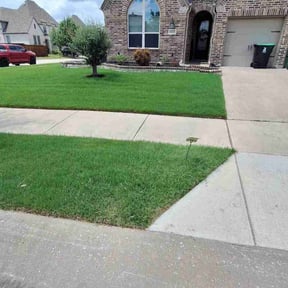 gardening service by Pablo's lawn service reviewed on August 19, 2025