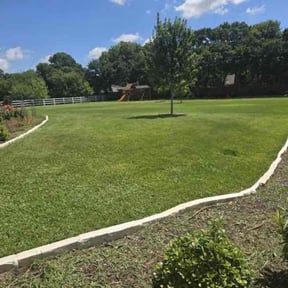 lawn maintenance by Salvador Gonzalez reviewed on June 15, 2025