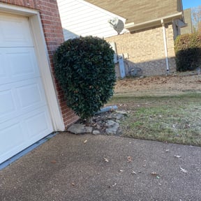 Bush Trimming by Inside and Out Property Maintenance reviewed on August 16, 2025