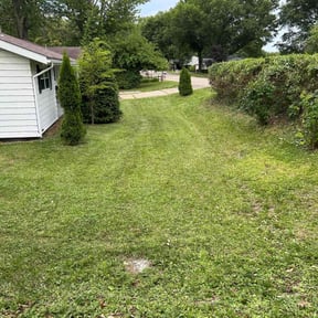 grass cutting by Keep it green reviewed on May 28, 2020