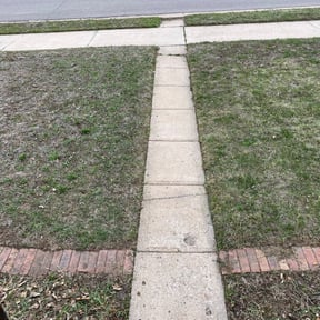 Flower Bed Weeding by Ángel landscaping tree service reviewed on August 18, 2025