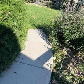 Bush Trimming by F&M LAWNCARE reviewed on August 21, 2025