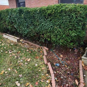 Flower Bed Weeding by Copper State Lawn Care reviewed on November 18, 2025