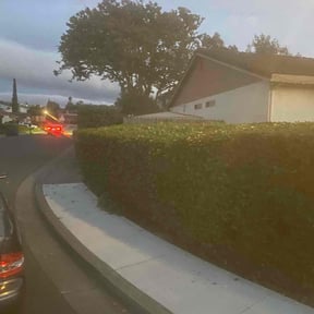 Bush Trimming by N.A.l Landscaping Services reviewed on November 5, 2025