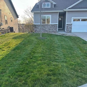 yard care by Handy Honey Do LLC reviewed on November 19, 2025