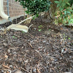 Flower Bed Weeding by K&amp;G Lawncare reviewed on November 10, 2025