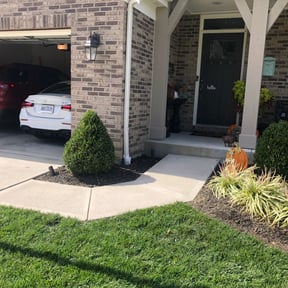 Bush Trimming by Murillo Services reviewed on August 15, 2025