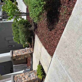 Bush Trimming by Sharp to the T Lawn &amp; Landscape reviewed on April 15, 2026