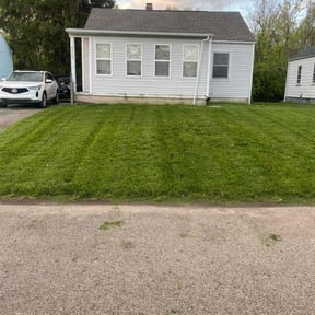 turf maintenance by Captain's Lawn Service, LLC. reviewed on May 5, 2024