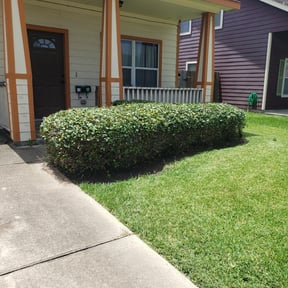 Bush Trimming by Clean & Clear lawncare reviewed on August 19, 2025