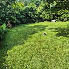 yard maintenance by Planet one landscape & Lawncare, LLC reviewed on August 20, 2025
