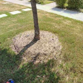 Flower Bed Weeding by Green For You  reviewed on November 23, 2025