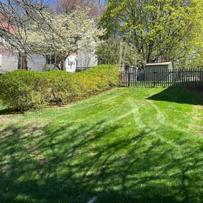 Lawn Mowing by Capital landscaping reviewed on August 17, 2025