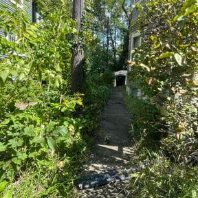 Bush Trimming by N2theoutdoors lawn and landscaping reviewed on November 25, 2025