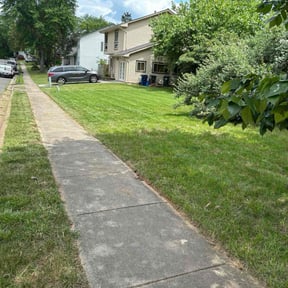 yard care by St Pete Land and Lawn reviewed on August 19, 2025